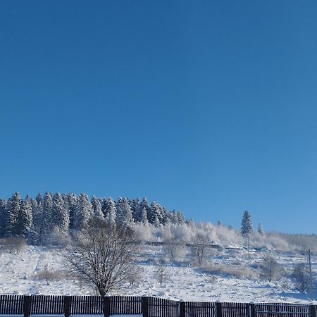 Перлина Карпат Leilighet Skhidnytsia Eksteriør bilde