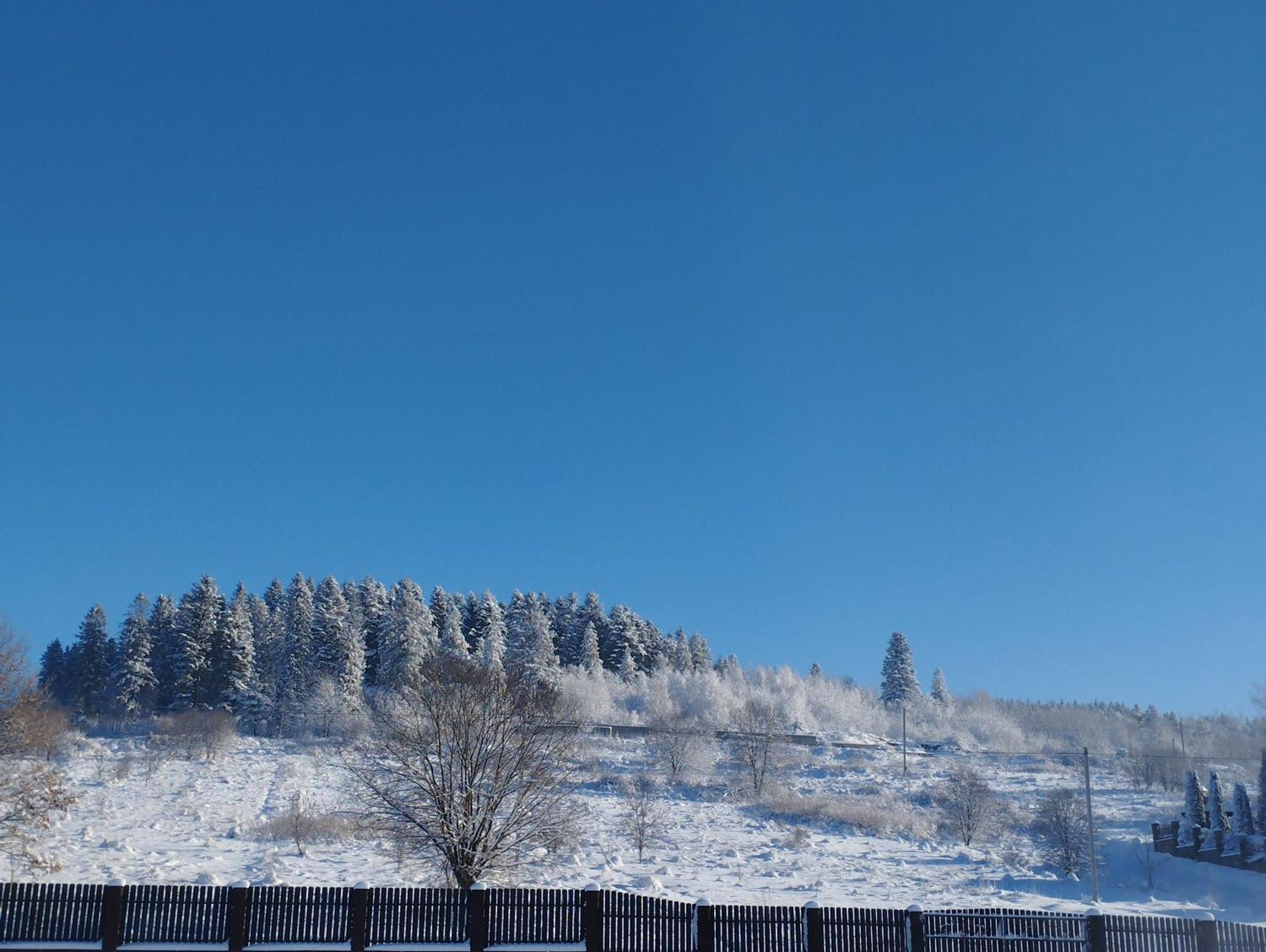 Перлина Карпат Leilighet Skhidnytsia Eksteriør bilde